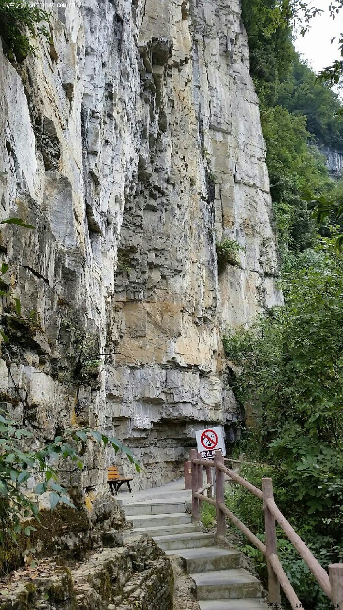 大方油杉河仙宇峰风光无限