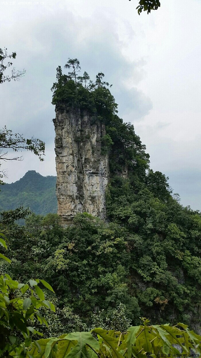 大方油杉河仙宇峰風光無限