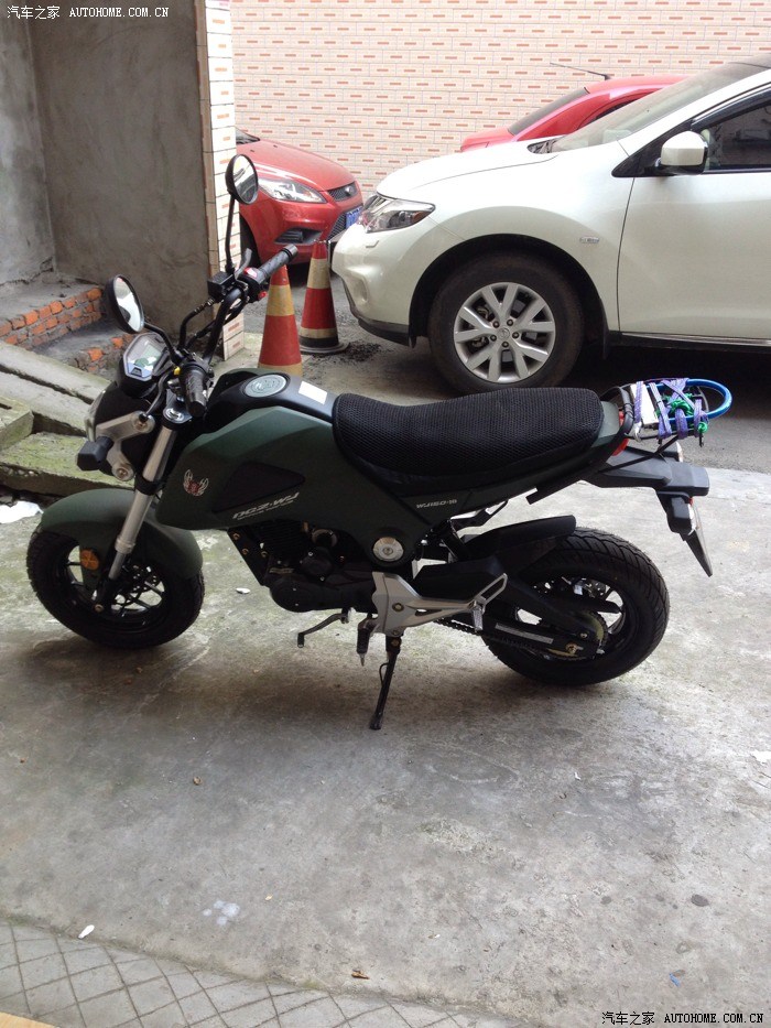 春风狒狒和大公仔哪个好点