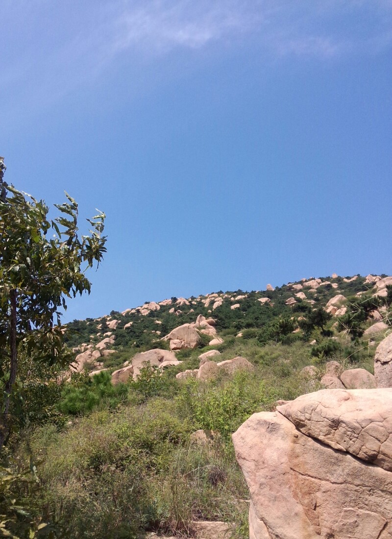 昌黎葡萄沟一日游