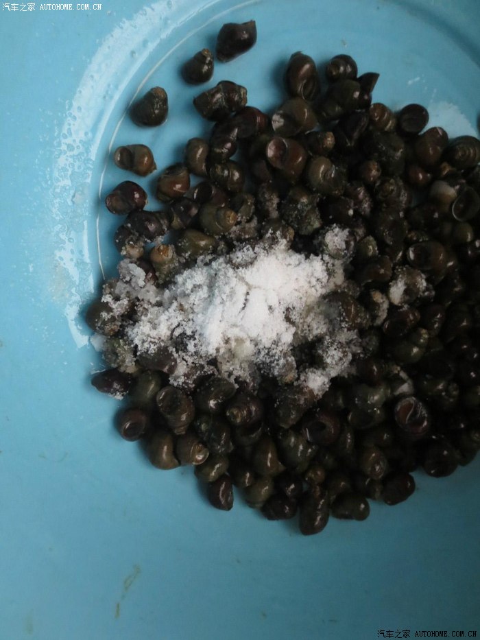 本人独创:田螺夹了屁股后用盐洗一遍,这样就可以把田螺壳的脏东西洗