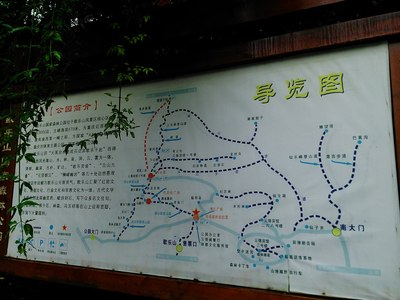 【小欧伴我行】之重庆歌乐山国家森林公园