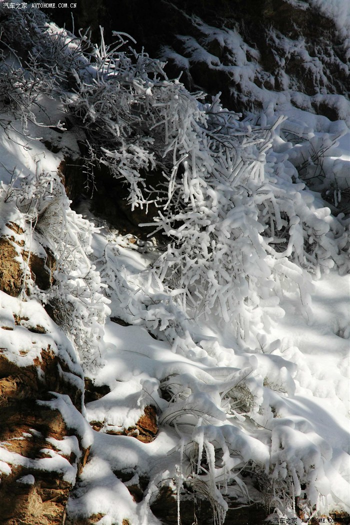 寒冷冬日 探秘龍慶峽冰雪節 與您分享