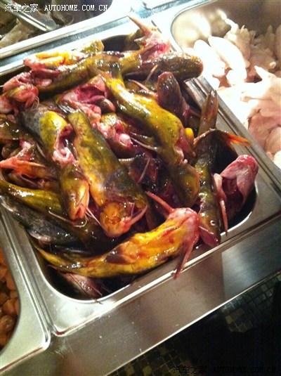 昂刺鱼.看见没!