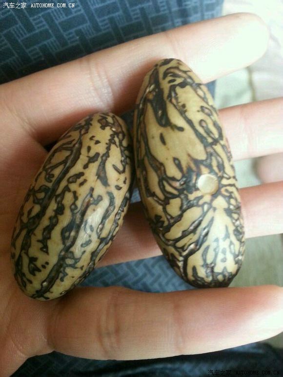 打磨千眼菩提果