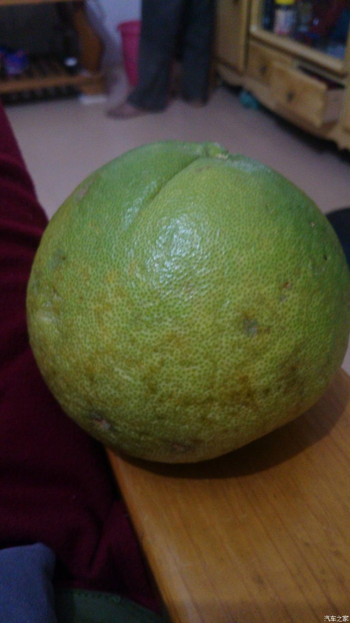 纯种野生柚子.