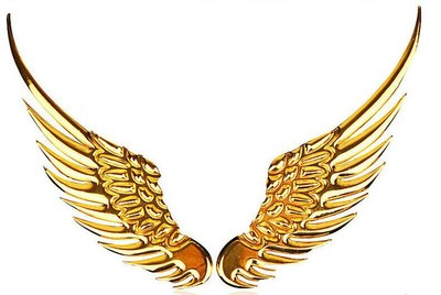 有没有车标处贴翅膀 或者天使的发个图看一下效果?