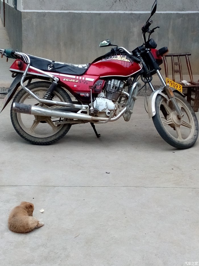 【图】晒晒你们的摩托车吧_摩托车论坛_汽车之家论坛