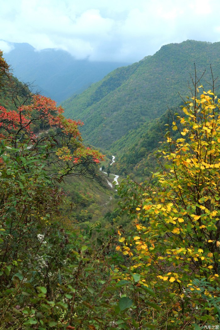陕西巴山十月散记