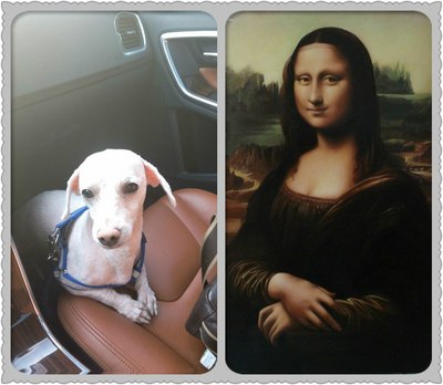 看到车子进入休息站时,它露出蒙娜丽莎般的微笑.