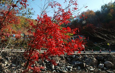 【廣豐雷凌杯】楓葉紅了(國慶節遊本溪洋湖溝和老邊溝)