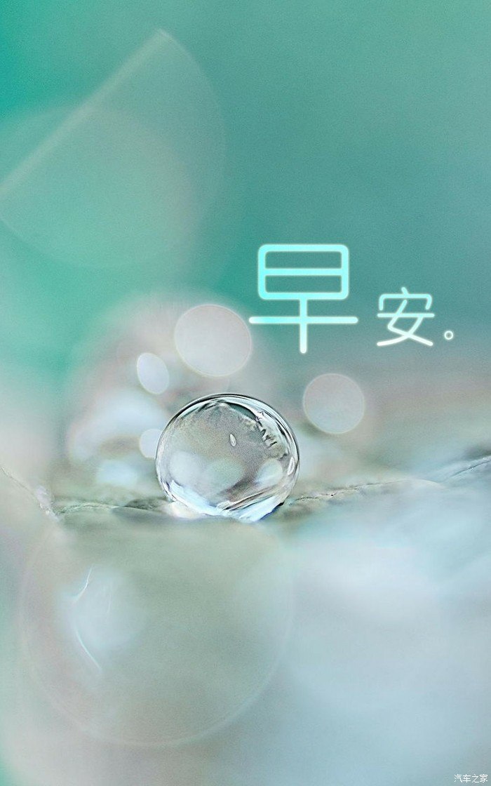 大家,早上好啊!