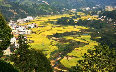 金秋十月—丰顺马图村