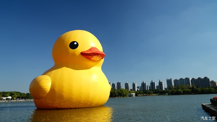 【图】世纪公园大黄鸭!_上海论坛_汽车之家论坛