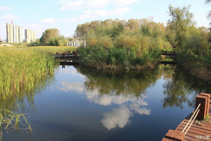 松原印象之苏力德湿地公园