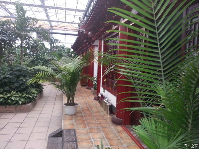 【lqwqm1979】去冠县清逸生态园吃个饭