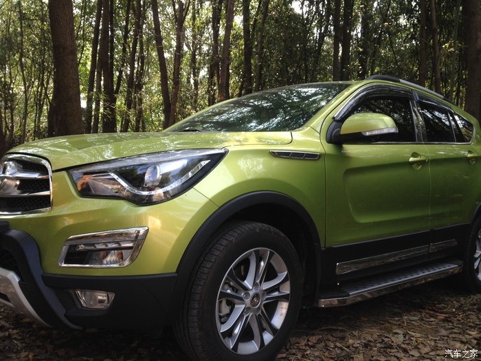 统计不极光绿有多少,纠结啊