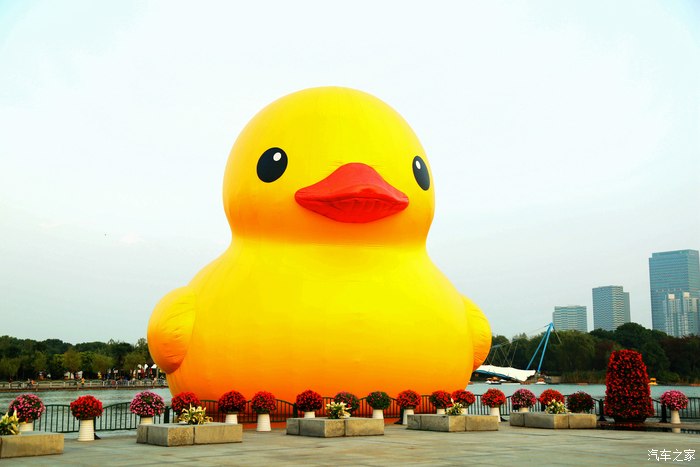 上海世纪公园大黄鸭