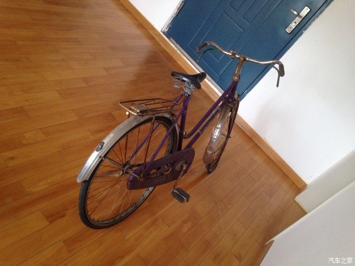 【图】陪伴两代人的传奇-90年代老金狮_自行车论坛_汽车之家论坛