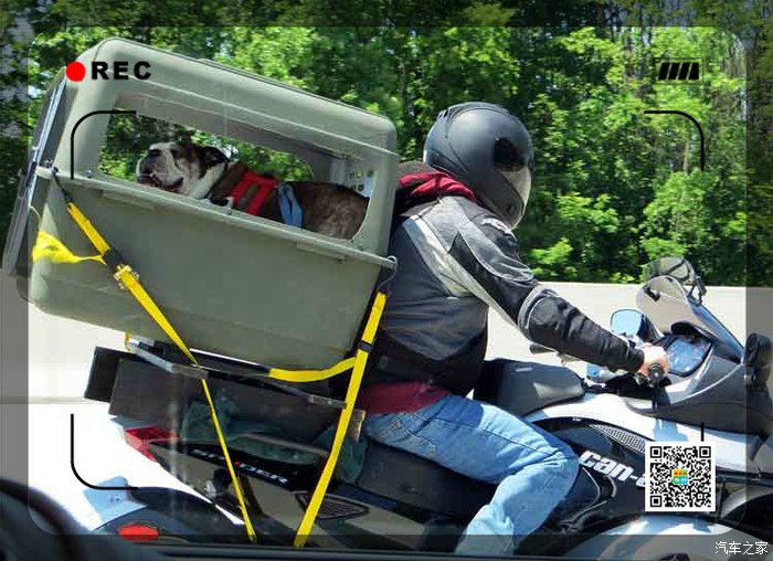 哈哈带着可爱的狗狗骑摩托车去旅行吧54p高清图