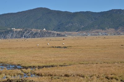 小奚和朋友们的自驾游系列之七彩云南(海量图片)