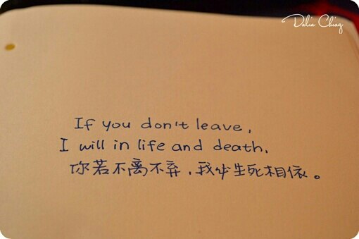 相守一生不离不弃