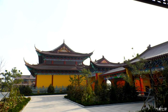 齐河定慧寺游记