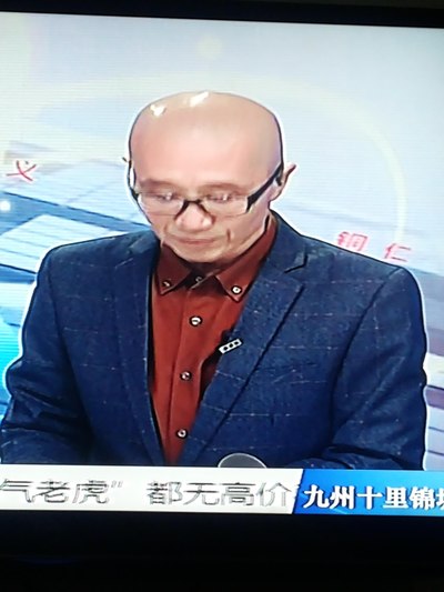 百姓关注新主持人图片