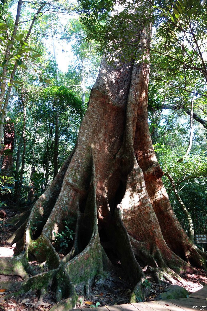 海南西线别样风情——租车自驾三亚至海口7日游