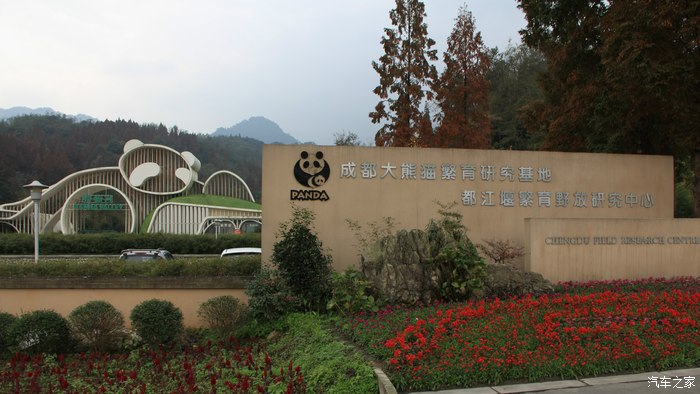 中国熊猫谷绵竹项目图片