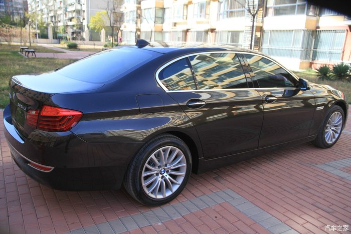 《阳光下的巴西棕》——寻梦之路——525li 提车作业100张巴西棕_宝马