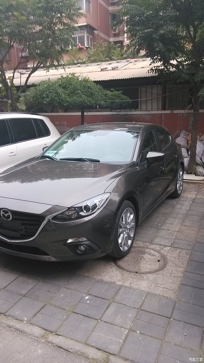 情定昂克赛拉20琉璃棕