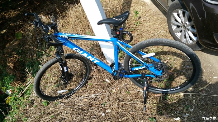 小白提giantrincon770