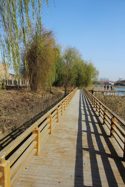 冬季出行游记——郑州西流湖公园/酷威摆拍