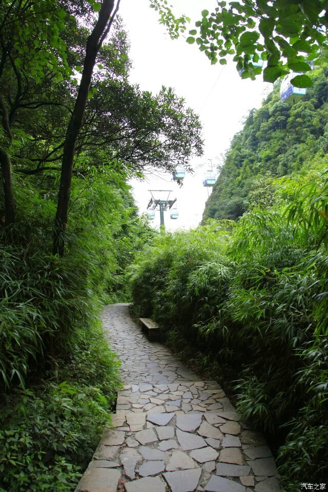 來點夏天拍的照片,重慶黑山谷