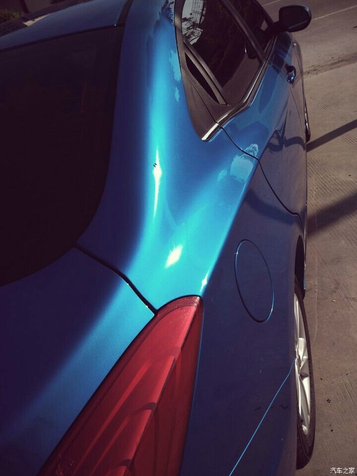 波斯蓝用车感受提车一个月波斯猫眯着它的双眼