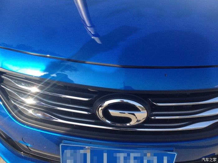 波斯蓝用车感受提车一个月波斯猫眯着它的双眼