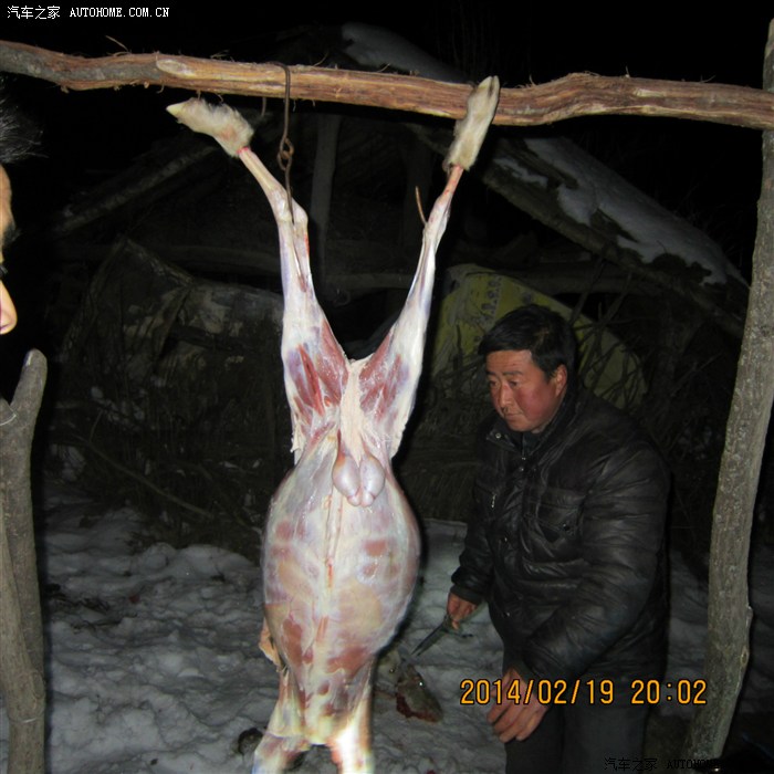 兄弟六人关山草原行海量美图