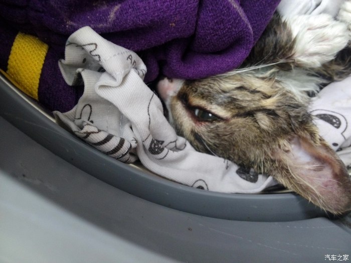 好奇害死猫之细节决定成败.