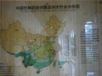 竹子分布图