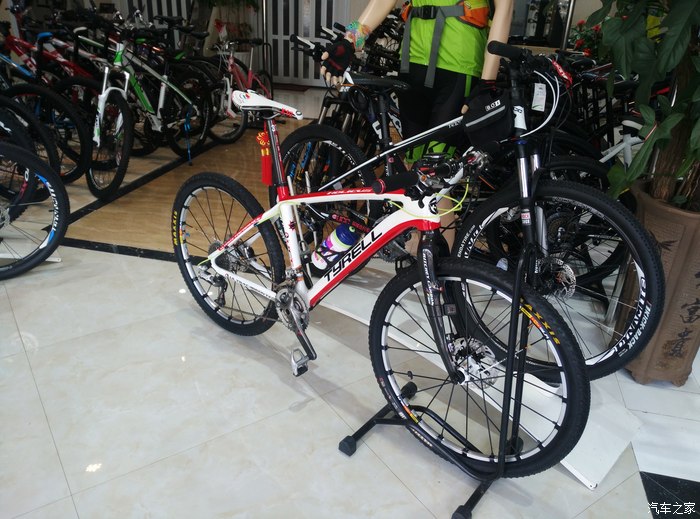 tyrell泰勒德国毒品级自行车品牌