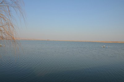 大荔县三河湿地保护区