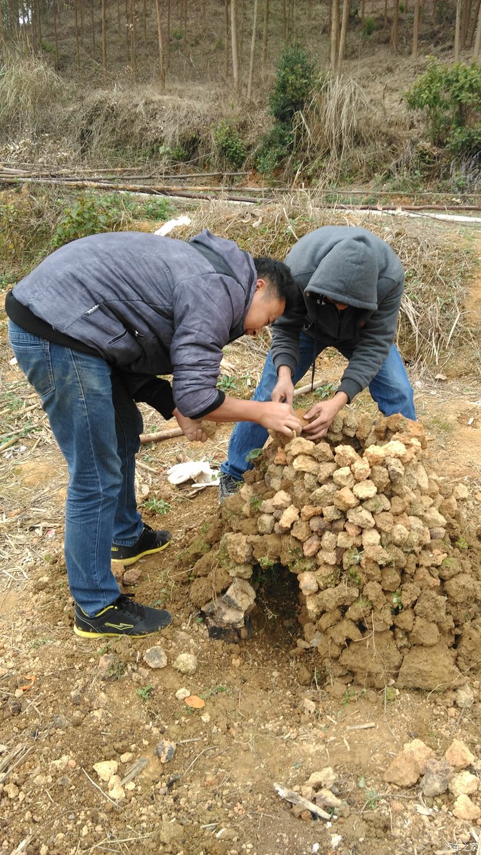2015新年的元月底来一次乡村郊外的红薯鸡窑哈哈