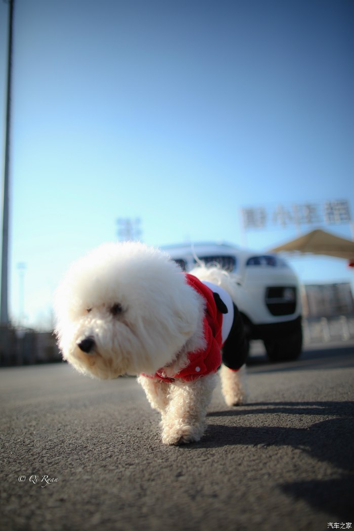 最后一代班戈14款35i运动白外黑内提车作业汪汪当车模