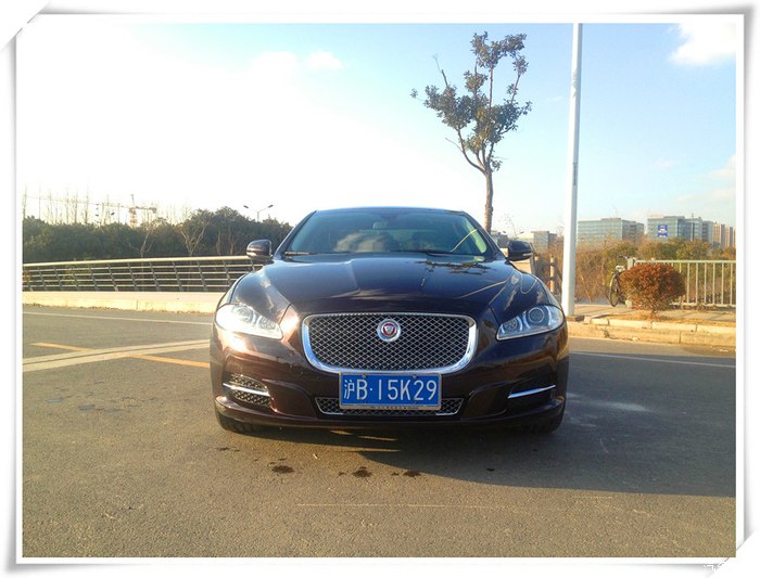 体态优雅的豹子鱼子酱红尊享商务版捷豹xjl作业