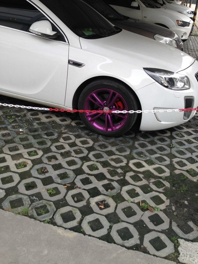 成都小海龟携小三昂克赛拉祝大家新春快乐,羊年大吉哟!