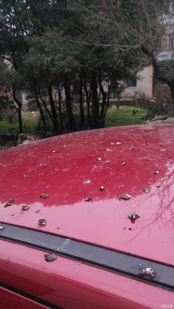 鸟屎,鸟车,鸟人?