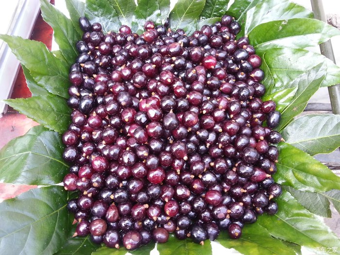 玩转安徽宏村!耶耶耶.