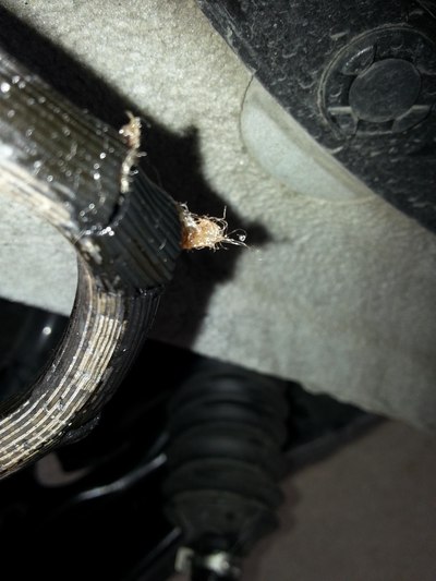 鄙视:逍客新车刹车油管爆裂,导致事故!厂方不给原因