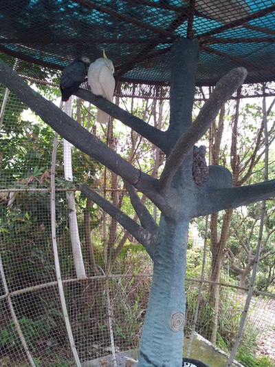 星期天龙凤山庄大片上演,手机流量慎进